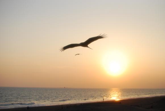 e0005411_10314692.jpg