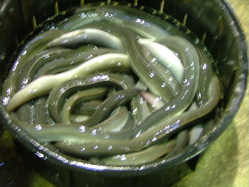 c0212214_13152319.jpg