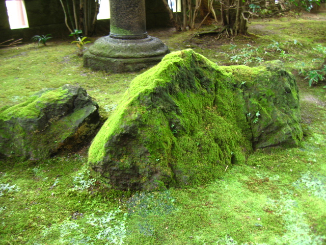b0093515_72741100.jpg
