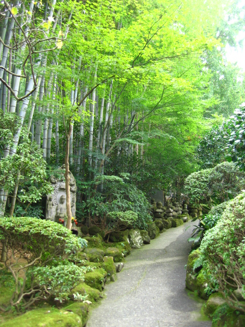 b0093515_7311986.jpg