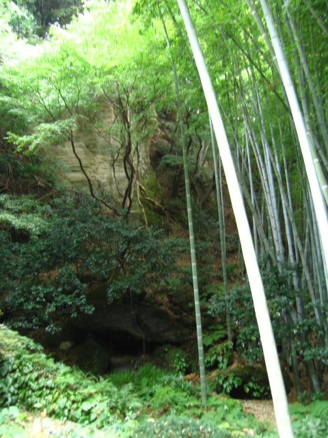 b0093515_73498.jpg