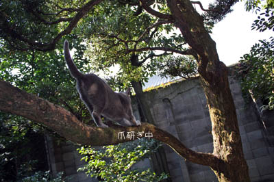 e0156015_1345419.jpg