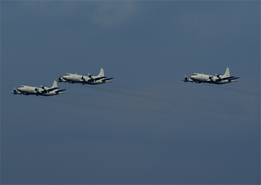 c0147123_1511596.jpg