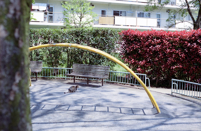 e0135024_2045622.jpg
