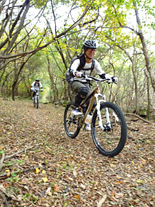 d0023725_1020252.jpg