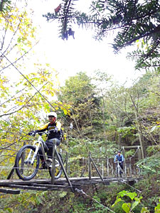 d0023725_10204051.jpg