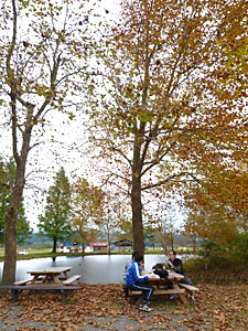 d0023725_10205777.jpg