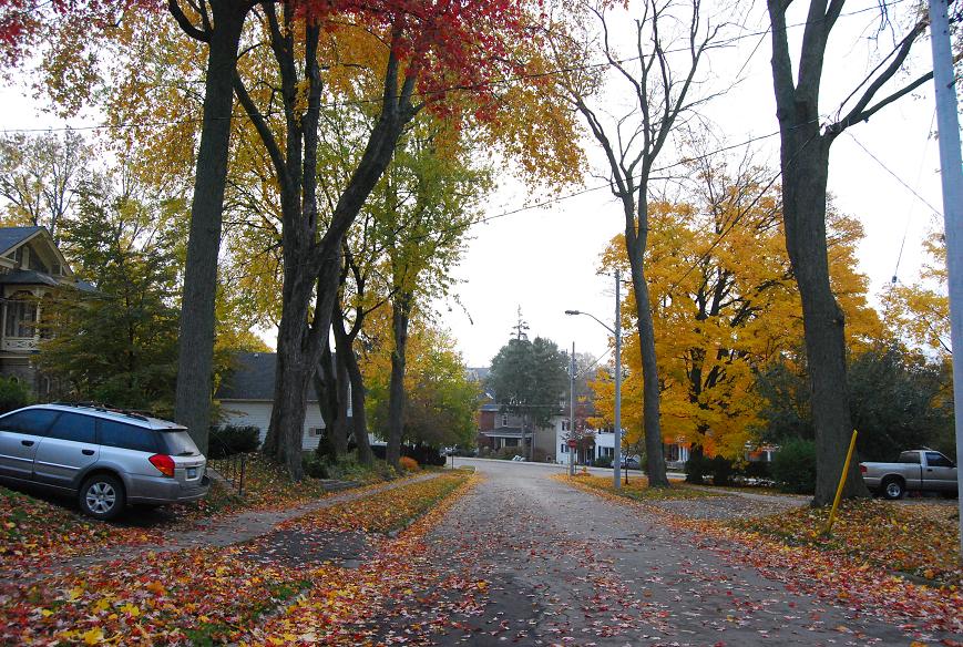 f0111926_111434.jpg