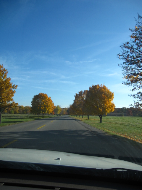 f0194826_1244656.jpg