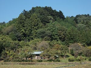 c0109827_22421129.jpg