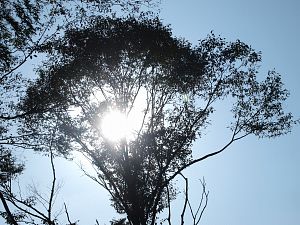 c0109827_22422292.jpg