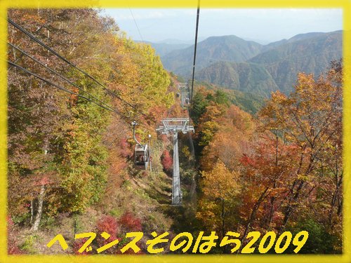 c0009528_20383763.jpg