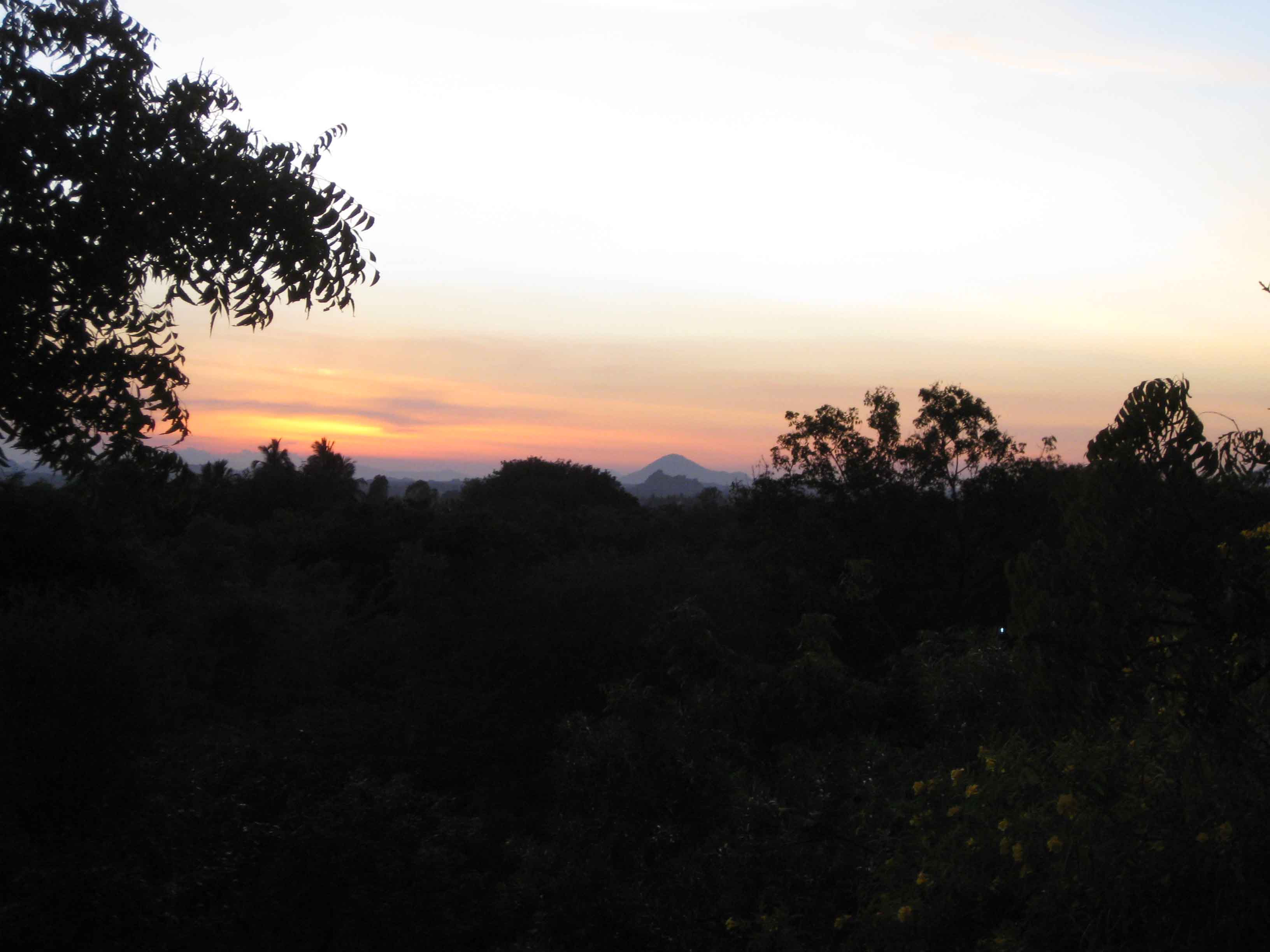 c0137328_7593912.jpg