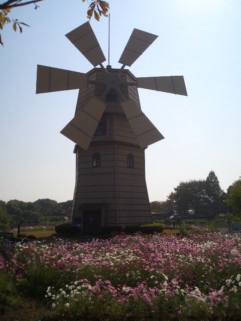 a0099129_23164626.jpg