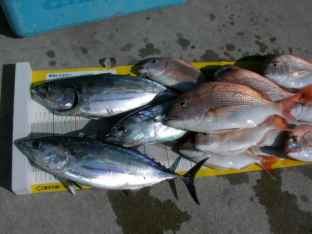 a0132631_18235282.jpg