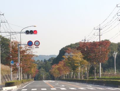 d0093936_1439719.jpg