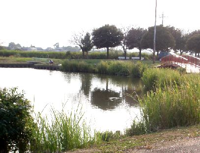 d0093936_15243727.jpg