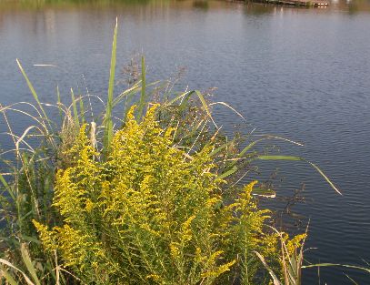 d0093936_15255779.jpg