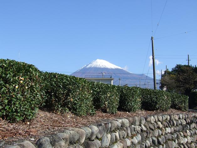 b0089338_130060.jpg
