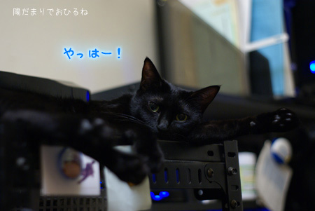 c0132438_22304283.jpg