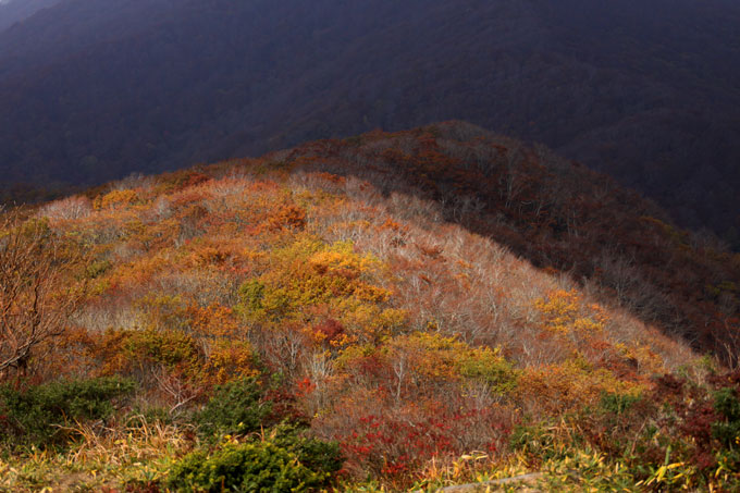 e0155240_1345185.jpg