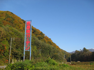 f0065341_1510159.jpg