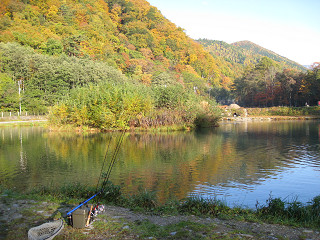 f0065341_15102637.jpg