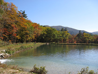 f0065341_15192761.jpg
