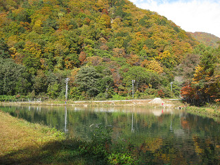 f0065341_1519472.jpg