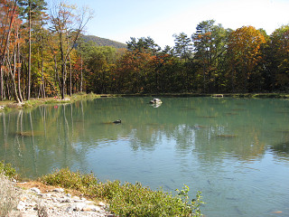 f0065341_15263592.jpg
