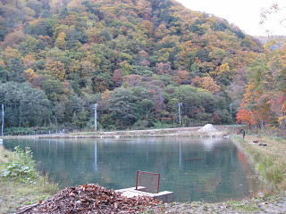 f0065341_15371272.jpg