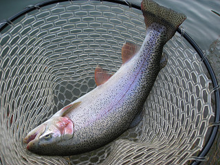 f0065341_15395334.jpg