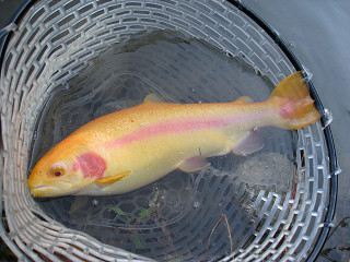 f0065341_15403879.jpg