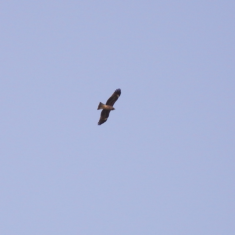 f0184244_221402.jpg