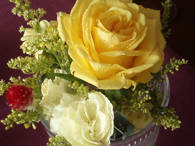 c0143650_17532449.jpg