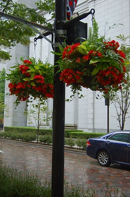 e0025655_5304566.jpg