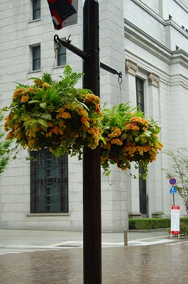 e0025655_531682.jpg