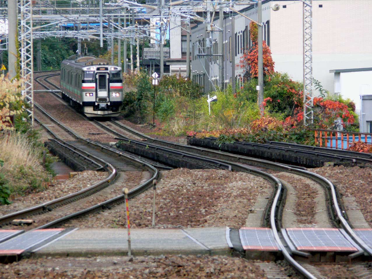 f0027355_2159436.jpg