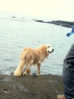 c0097558_2327379.jpg