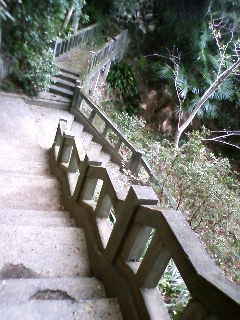 b0129860_2057345.jpg