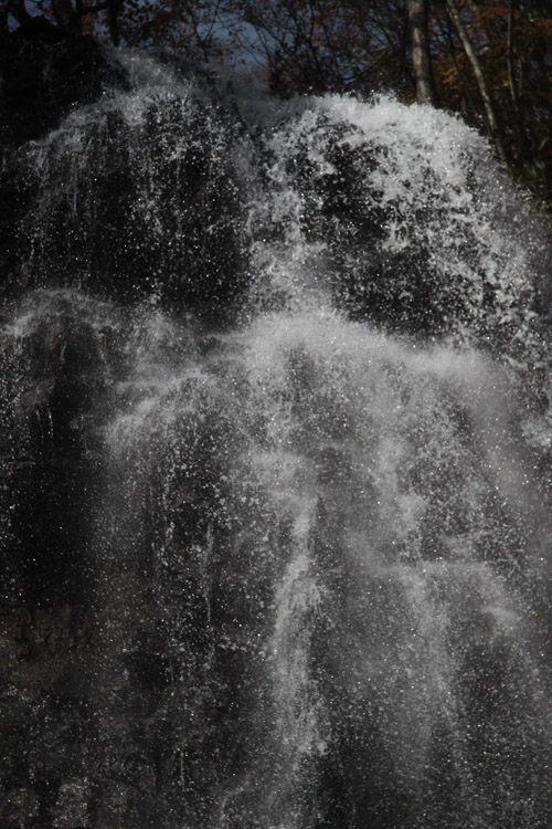 c0202860_8553359.jpg