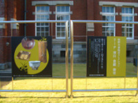 d0087761_1181023.jpg