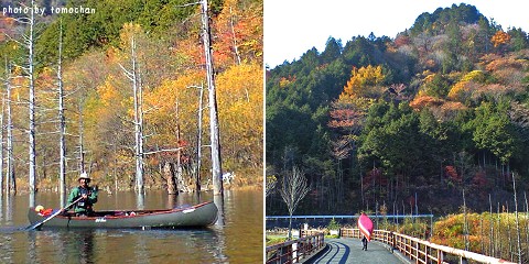 c0123363_22322565.jpg