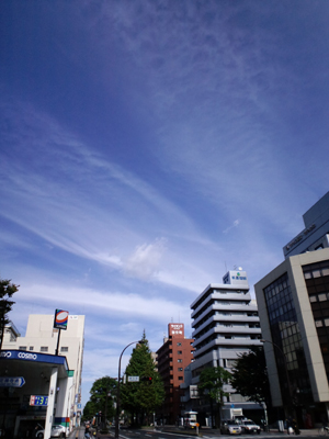 c0050264_1251067.jpg