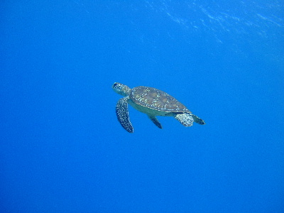 d0102664_0481269.jpg