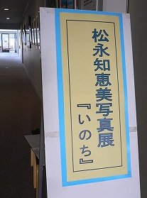 f0106664_20405798.jpg