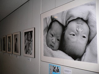 f0106664_20411665.jpg