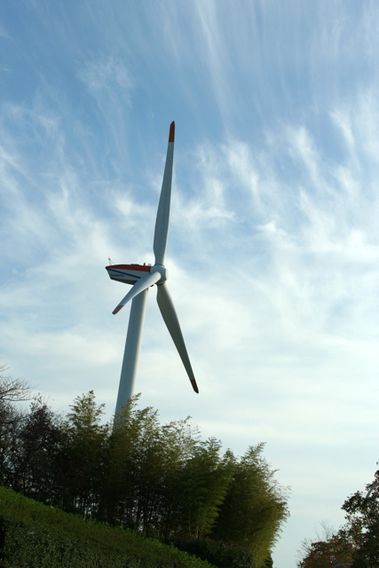 c0163369_9383434.jpg