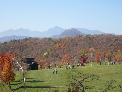 f0203369_19223189.jpg