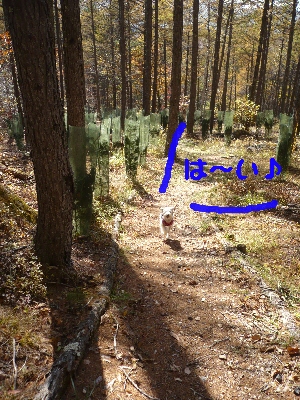 f0203369_19231110.jpg